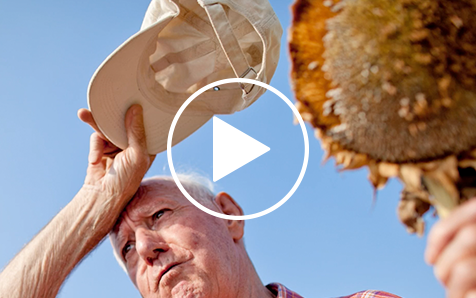 S&iacute; es posible lograr cero emisiones netas de di&oacute;xido de carbono