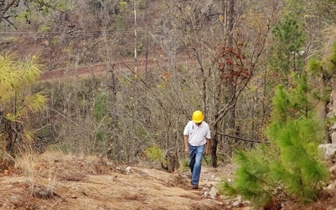 C&oacute;mo un peque&ntilde;o escarabajo amenaza la seguridad de agua en Honduras