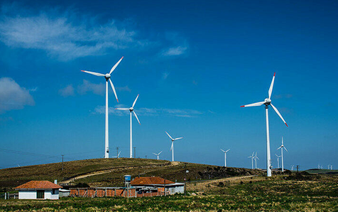 NDC INVEST apoya la acci&oacute;n clim&aacute;tica Latinoamericana durante el coronavirus