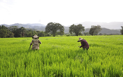 Las peque&ntilde;as y medianas empresas se encuentran entre las iniciativas m&aacute;s innovadoras en la construcci&oacute;n de resiliencia clim&aacute;tica