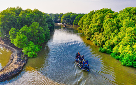 Los manglares de Surinam son cr&iacute;ticos para construir un futuro m&aacute;s sostenible y resiliente