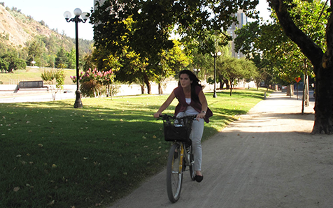 Chile muestra que una participaci&oacute;n de m&uacute;ltiples actores es clave para dise&ntilde;ar las estrategias de descarbonizaci&oacute;n de largo plazo