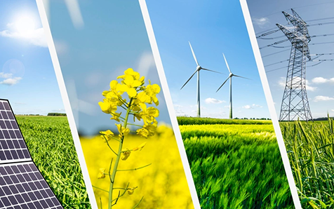 Seis oportunidades para promover la resiliencia y descarbonizaci&oacute;n a trav&eacute;s de la pol&iacute;tica fiscal